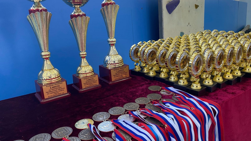 Чемпионат Челябинской области по гиревому спорту