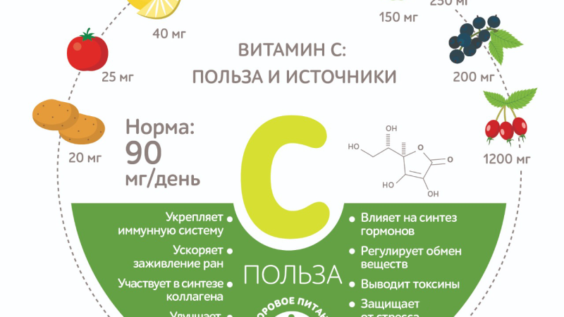 Чем полезны овощи и фрукты?